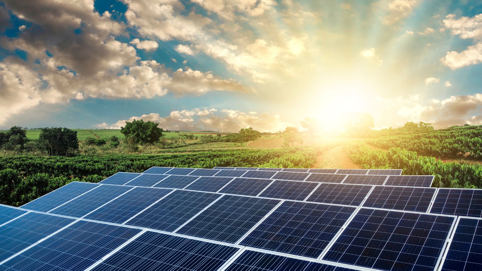 Türkiye, güneş enerjisinde 72 GW kurulu gücü geçti